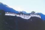 Dzongh