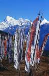 Prayer Flags