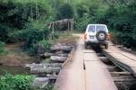 Jungle bridge