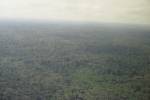 Airshot of rain forest