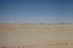 Desert tent camp