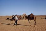 Dromedary close encounter