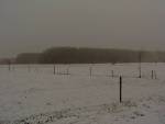 Beverage snowy fields 